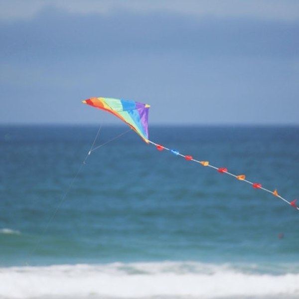 Kite
