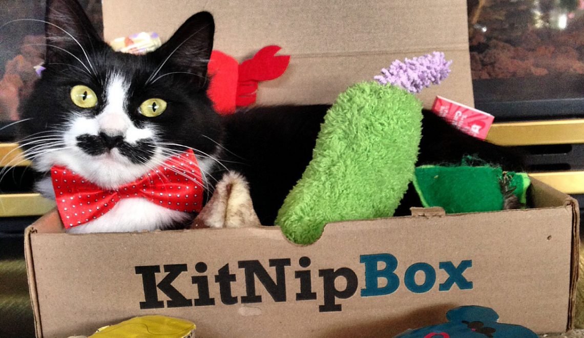 KitNipBox Subscription