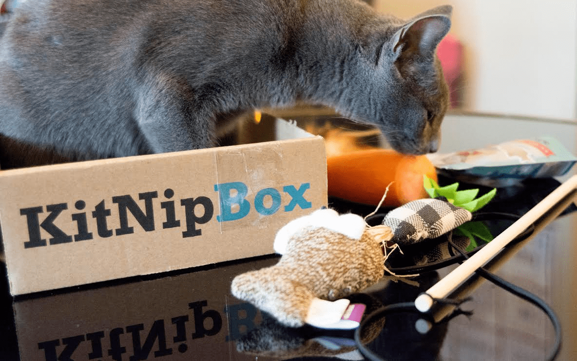 KitNipBox Subscription