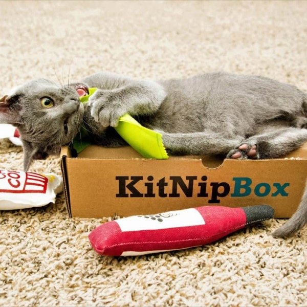 KitNipBox Subscription