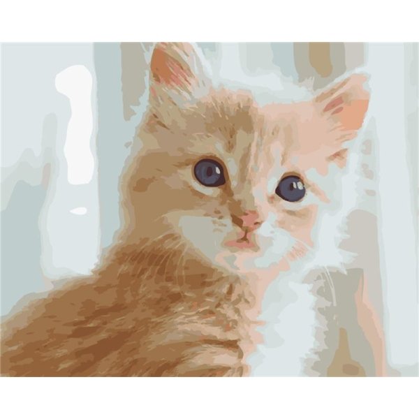 Kitten Paint by Numbers Kit