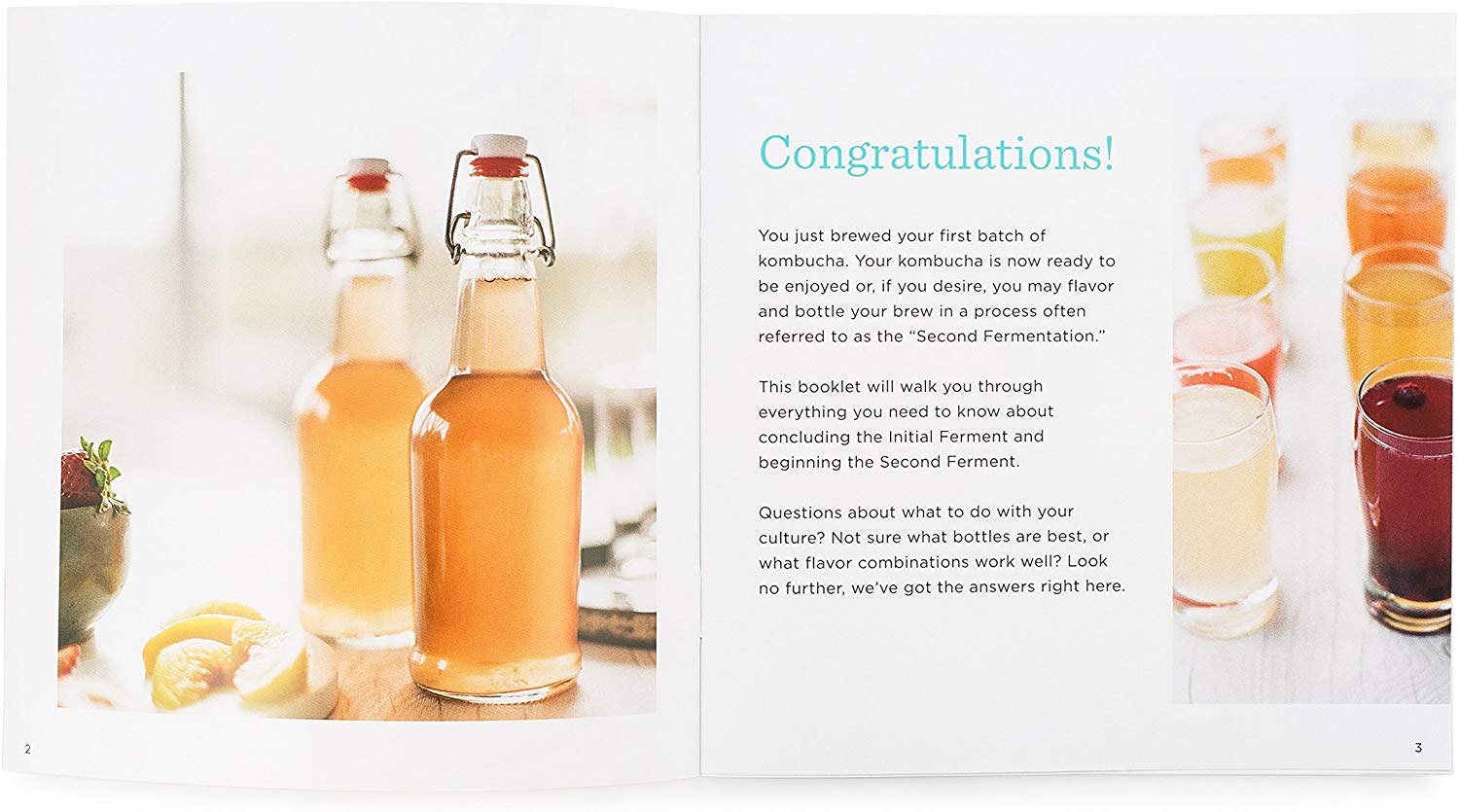 Kombucha Brewing Kit 