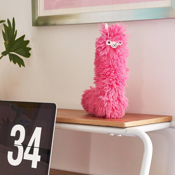 Lama Desk Duster