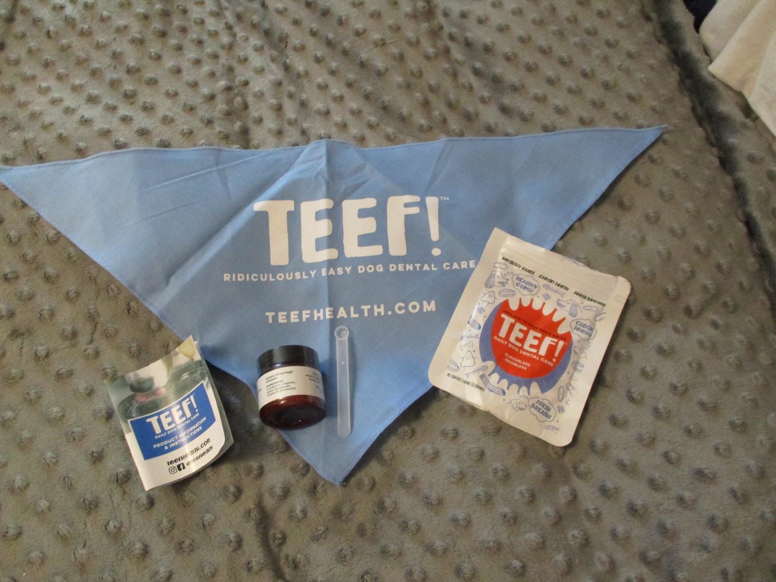 Pet Dental Health Kit