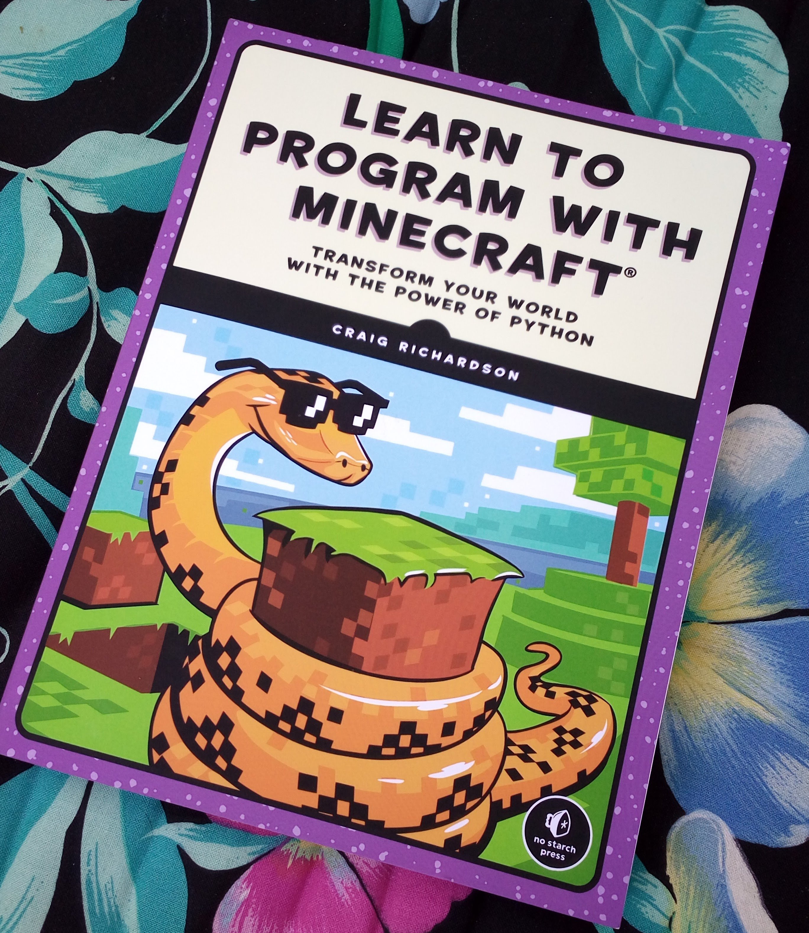 Learn to Program with Minecraft