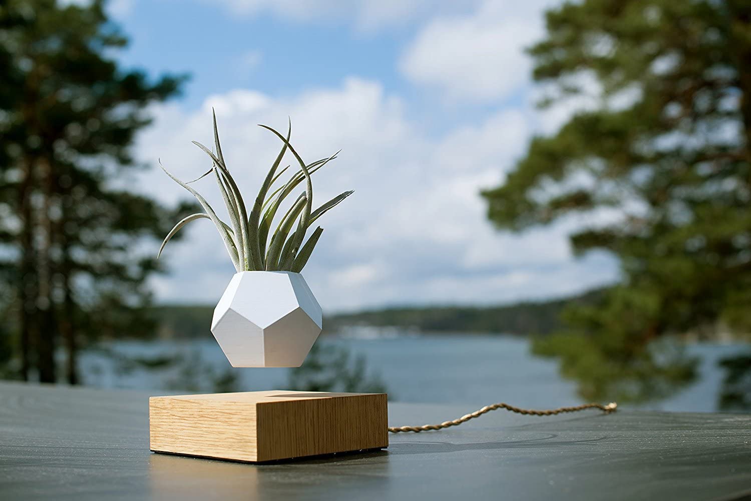 Levitating Plant Pot