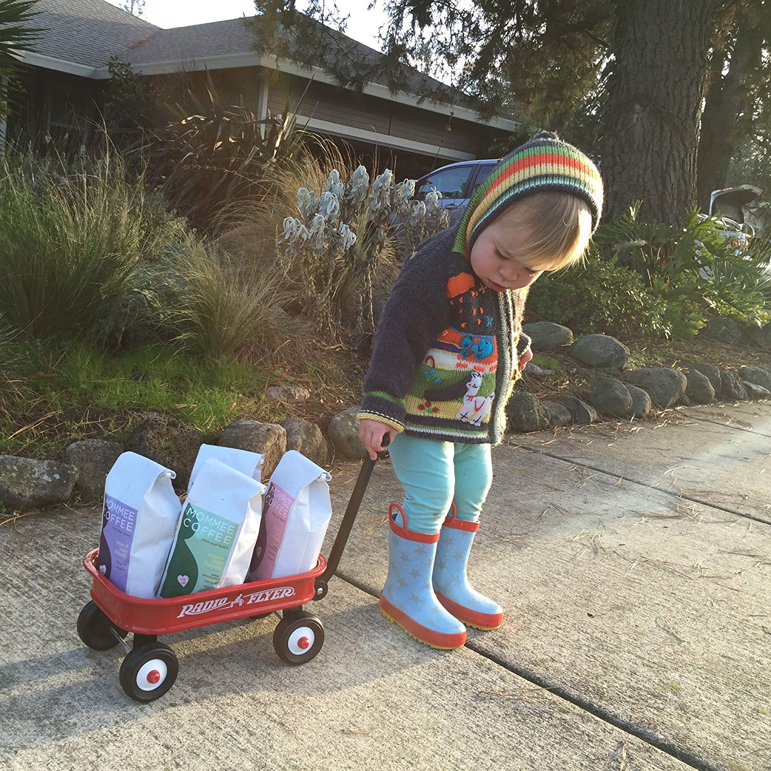 Low Acid Mommee Coffee