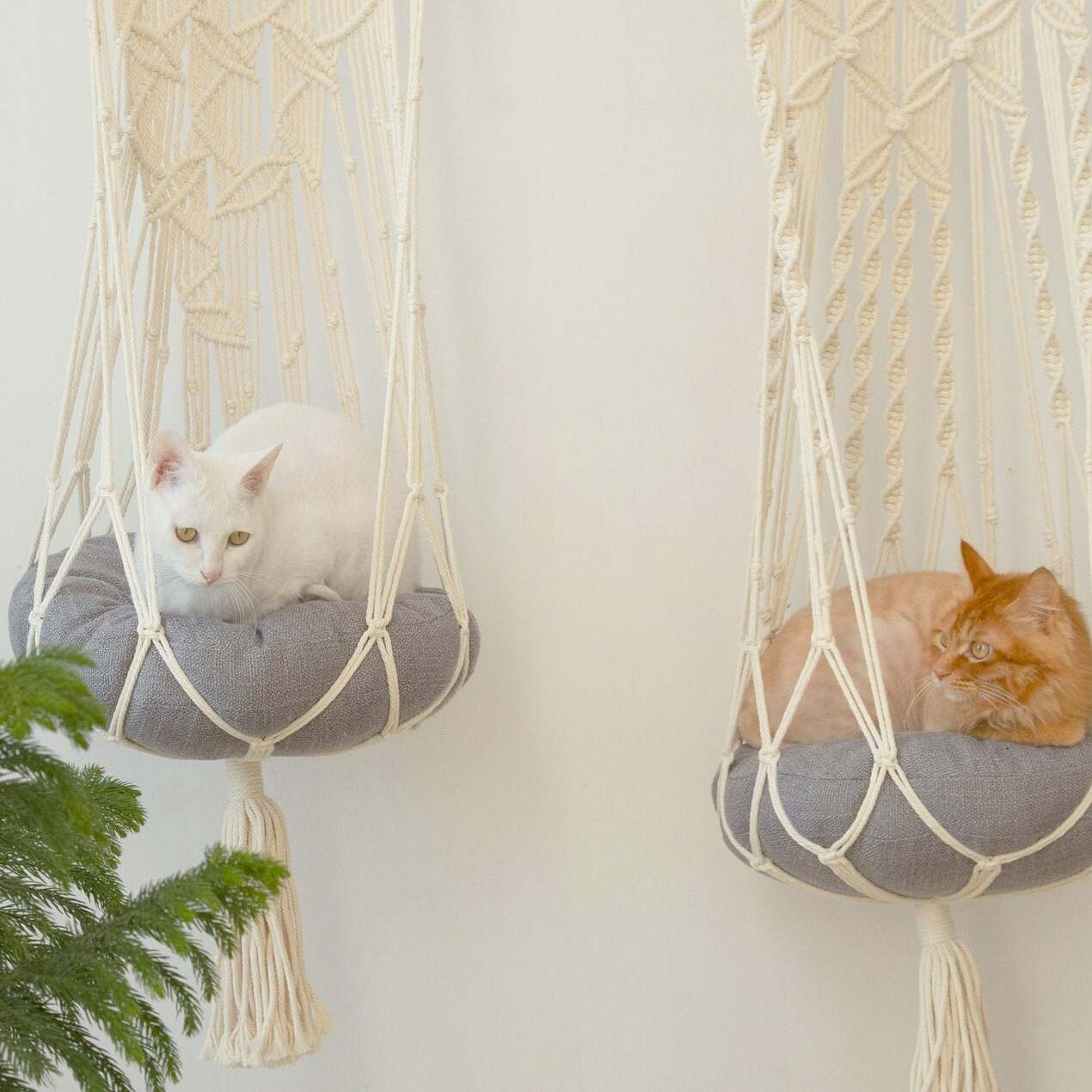 Macrame Cat Hammock