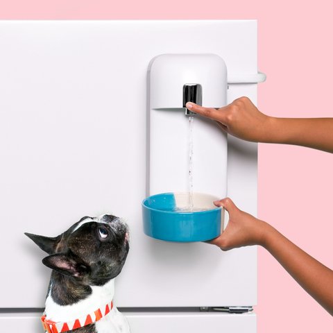 Magnetically-Mounted Water Dispenser