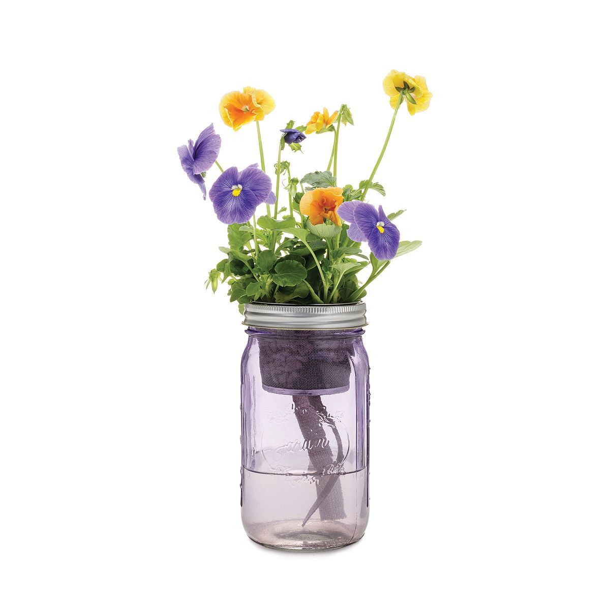 Mason Jar Indoor Flower Garden