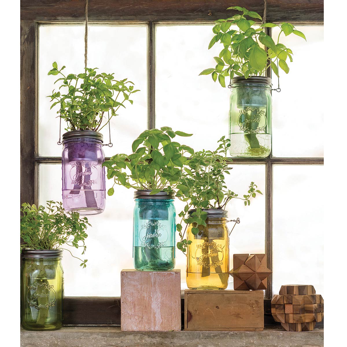 Mason Jar Indoor Flower Garden