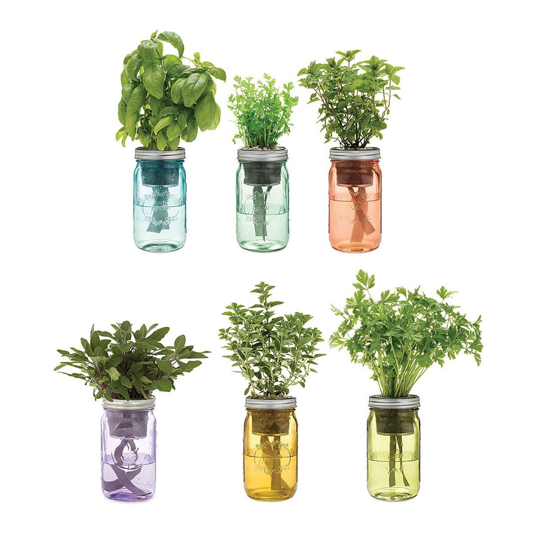 Mason Jar Indoor Flower Garden