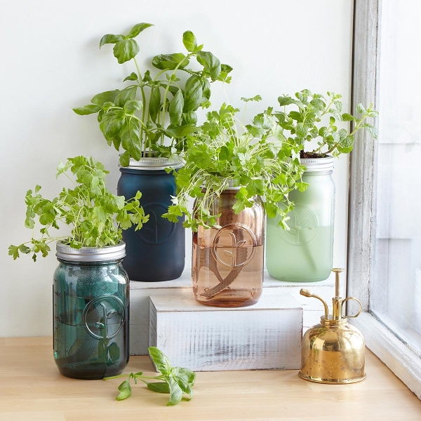 Mason Jar Indoor Flower Garden