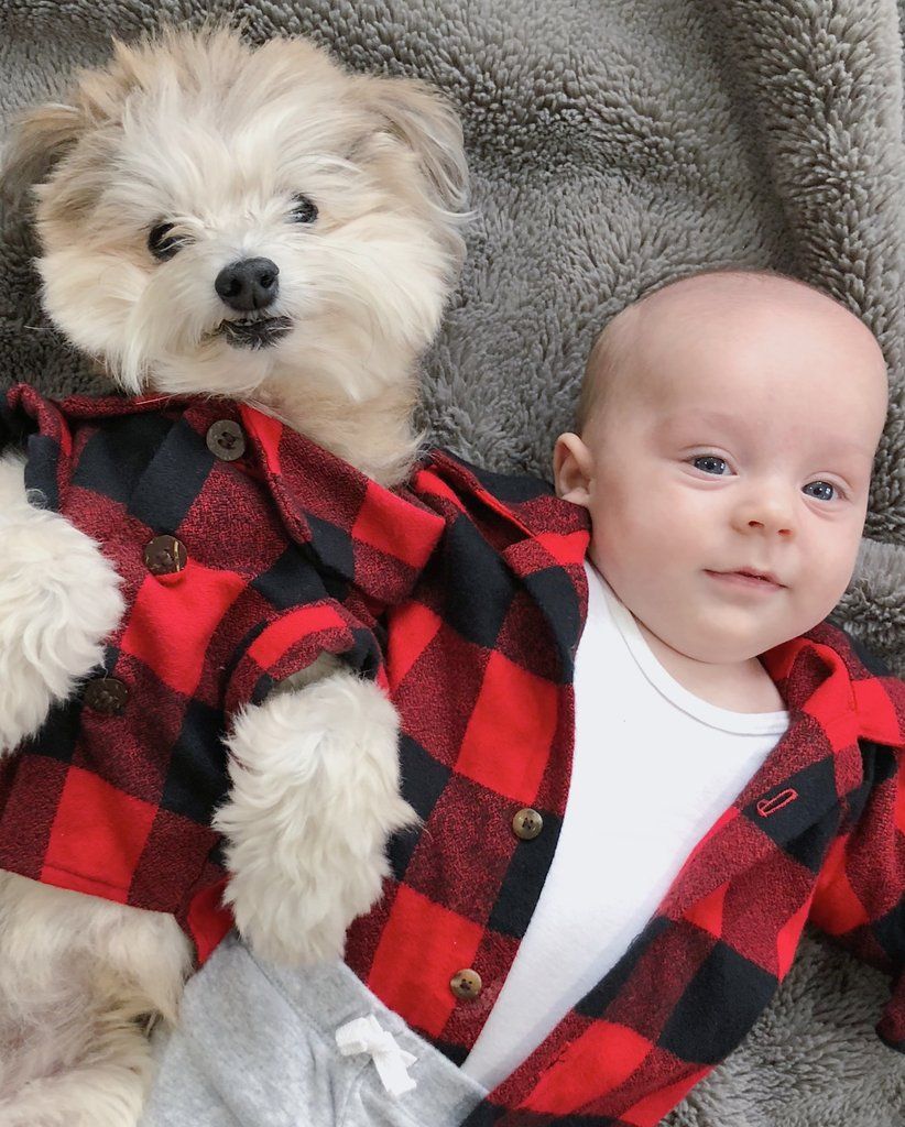 Matching Dog and Owner Outfit