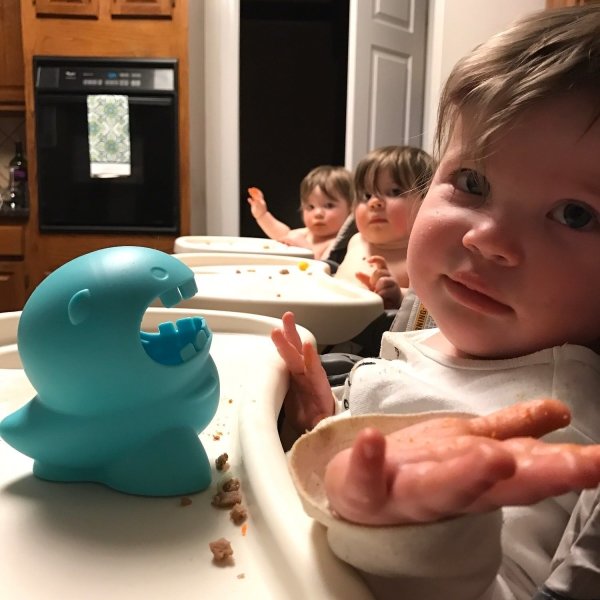  Mealtime Companion