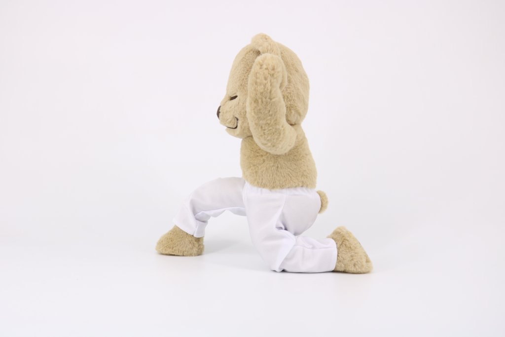 Meddy Teddy Yoga Plush Bear