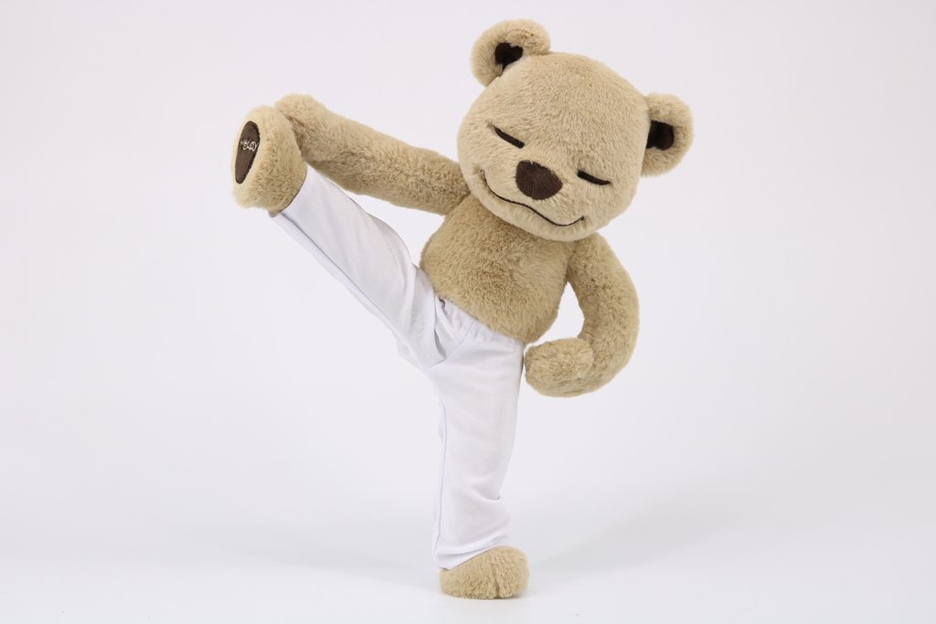 Meddy Teddy Yoga Plush Bear