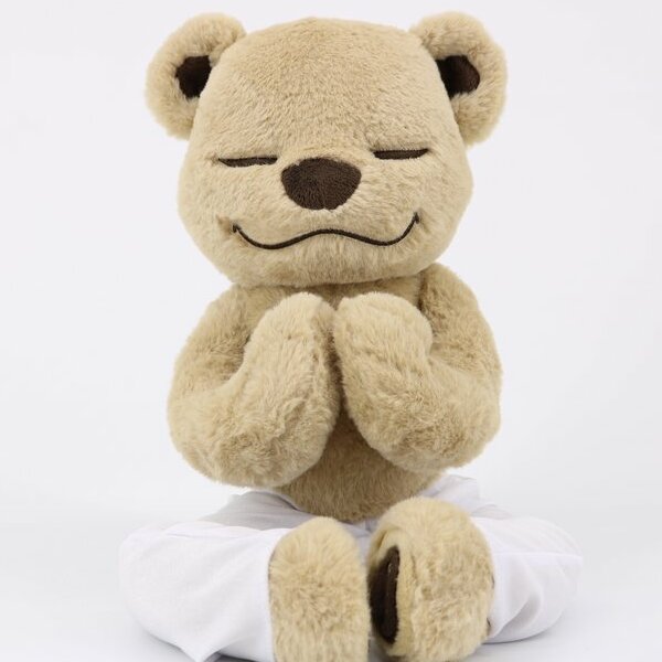 Meddy Teddy Yoga Plush Bear