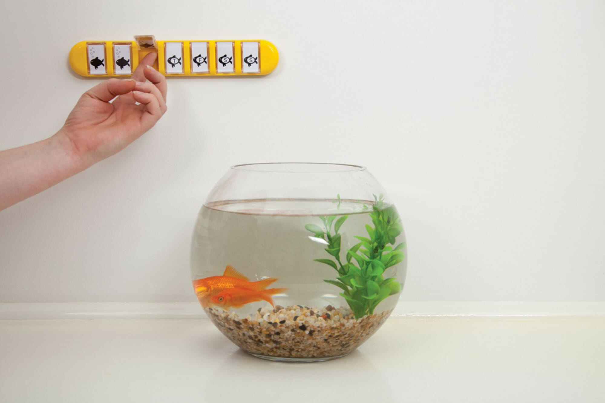 Membo Daily Reminder Tool 