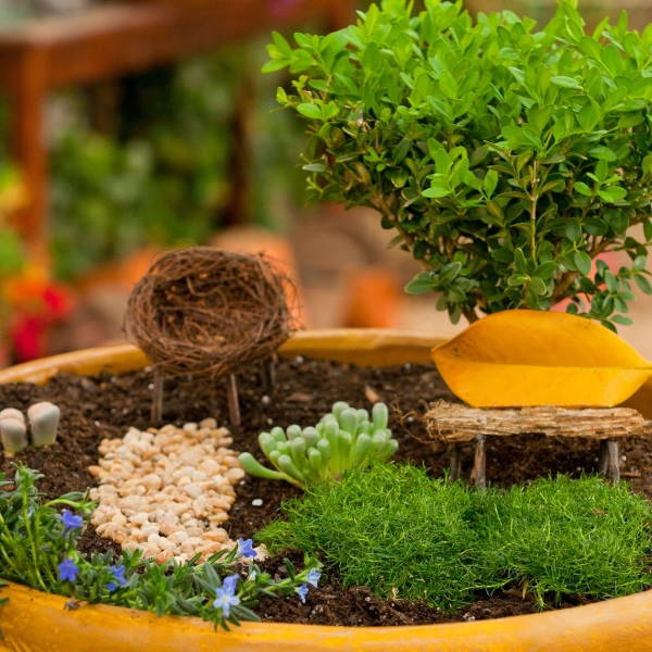 Miniature Tin Garden