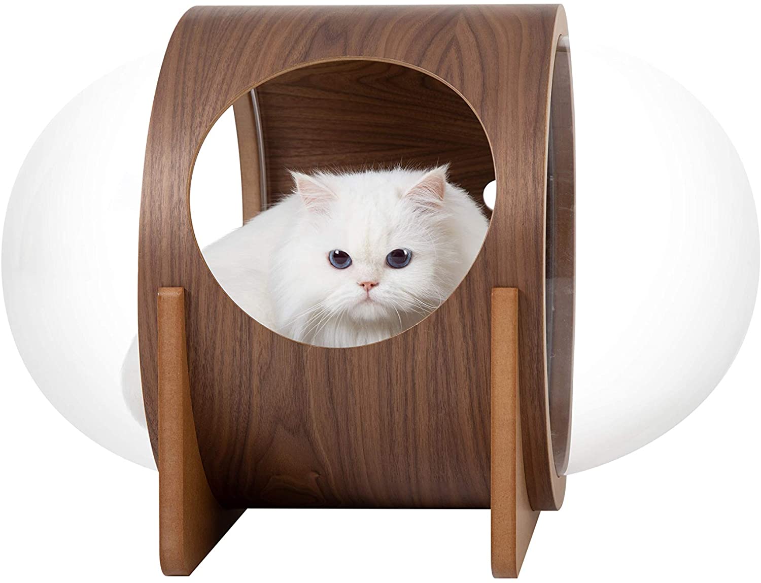 Modern Cat House