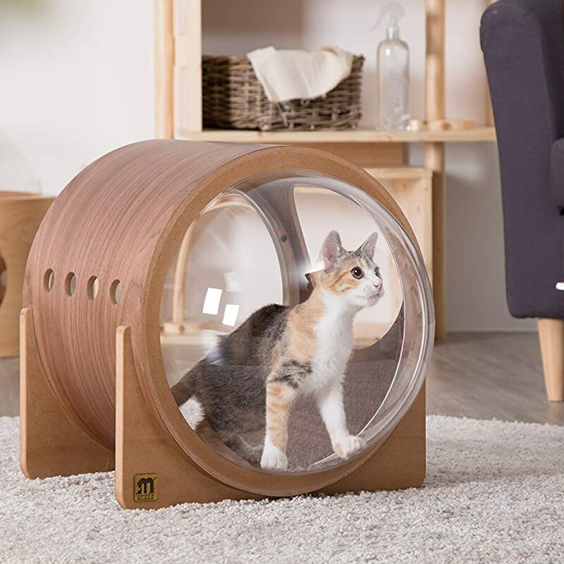 Modern Cat House