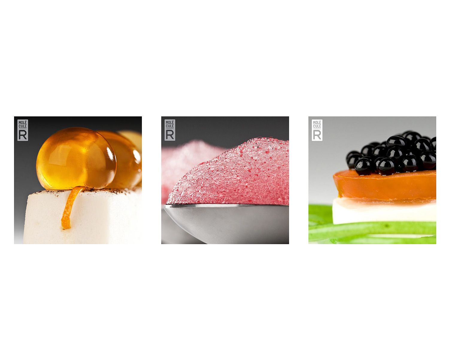 Molecular Gastronomy Kit