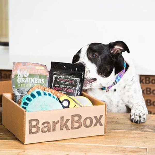 Monthly Subscription to  "Bark Box"