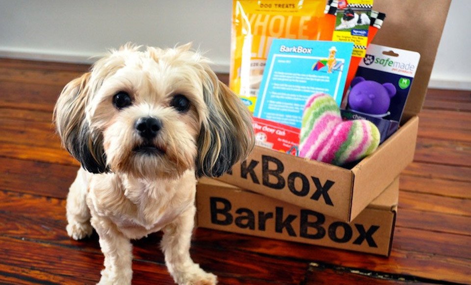 Monthly Subscription to  "Bark Box"