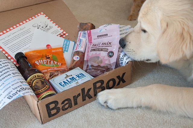 Monthly Subscription to  "Bark Box"