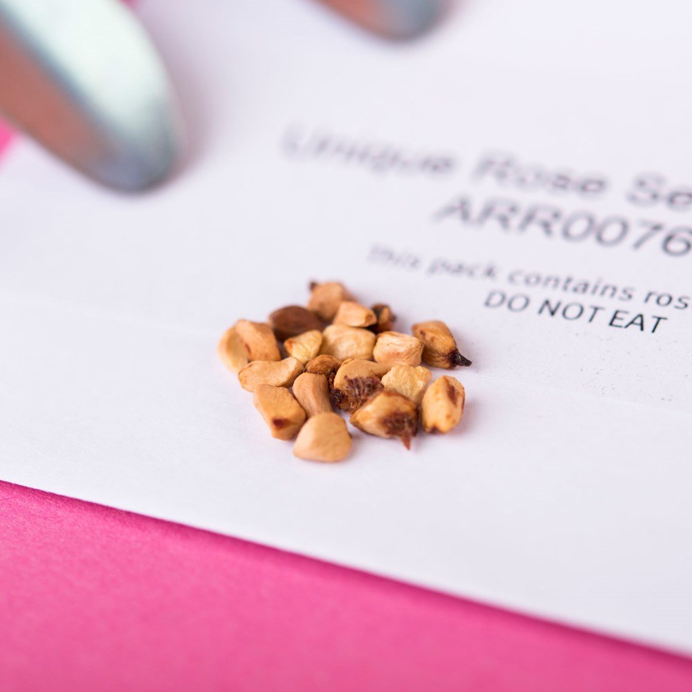 Name A Rose Gift Box