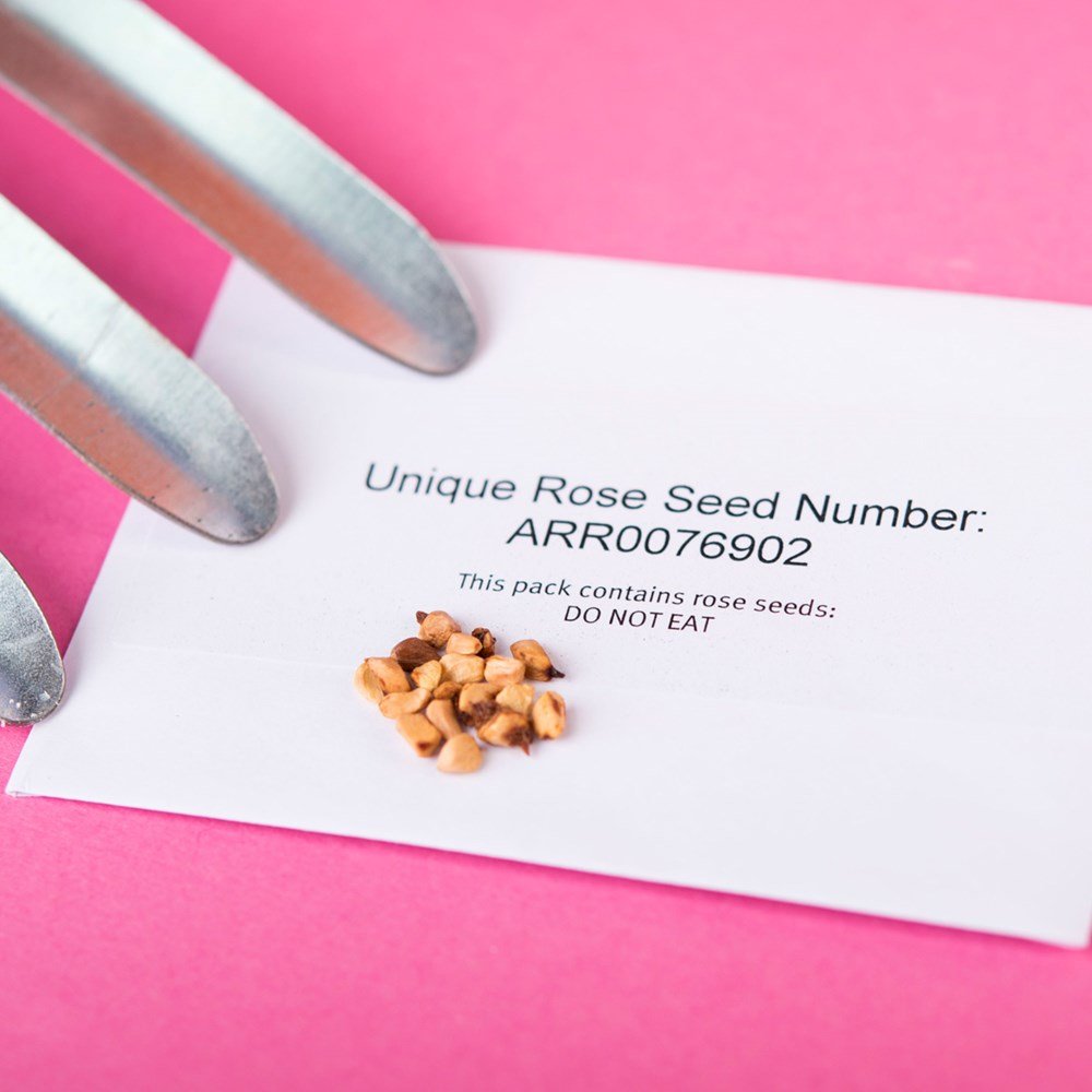 Name A Rose Gift Box