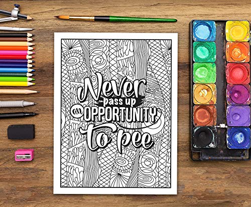 Nurse Life: A Snarky Adult Coloring Book