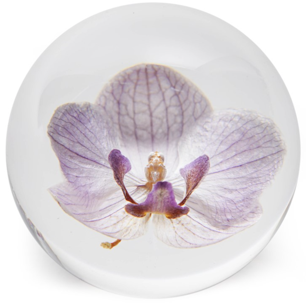 Orchid Paperweight