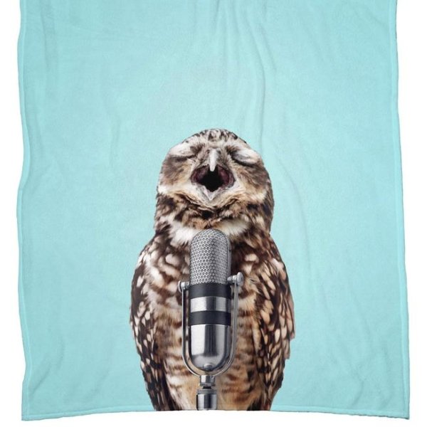 Owl Mic Blanket