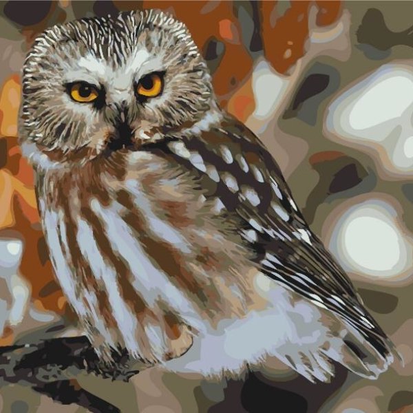 Owl - Paint By Numbers