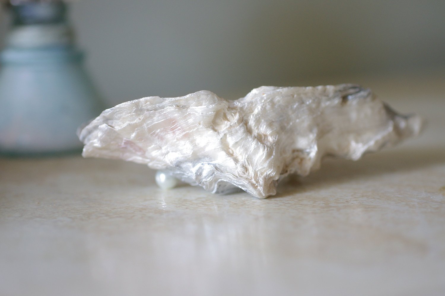 Oyster Shell Trinket Dish