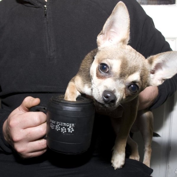 Paw Plunger For Dogs