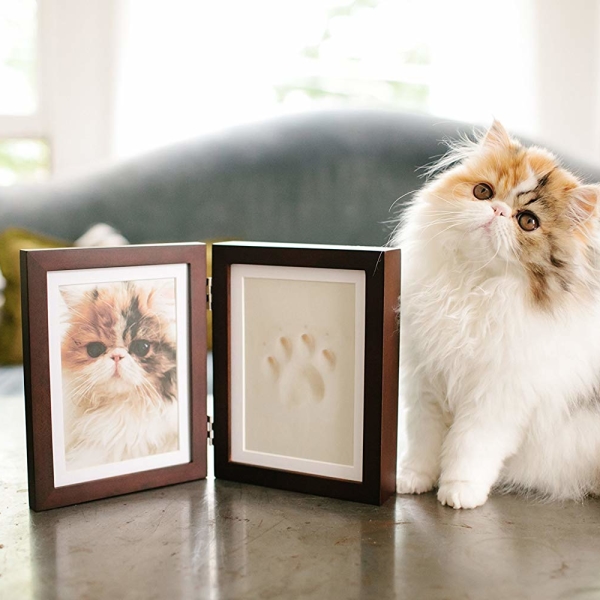 Paw Prints Keepsake Photo Frame