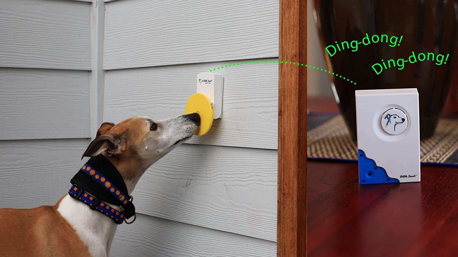 Pebble Smart Doggie Doorbell