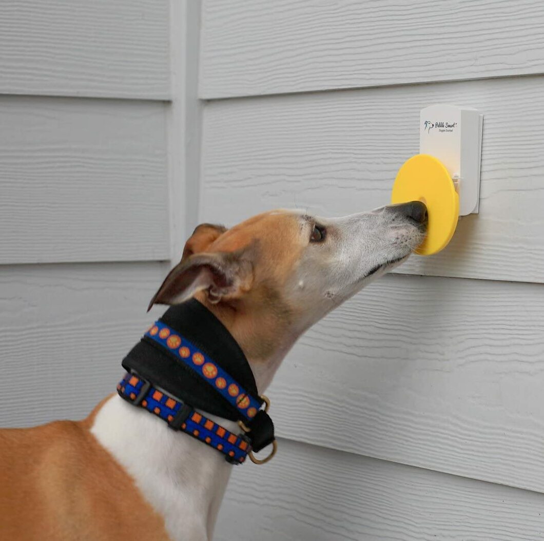 Pebble Smart Doggie Doorbell