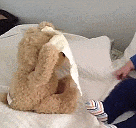 Peek-A-Boo Teddy Bear