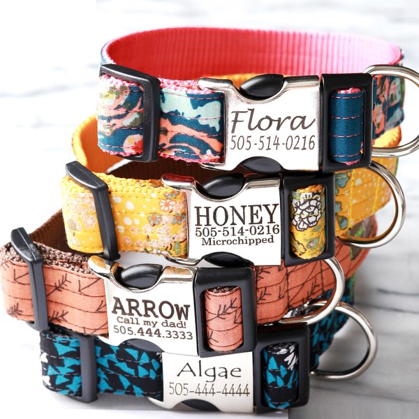Personalized Dog Collar