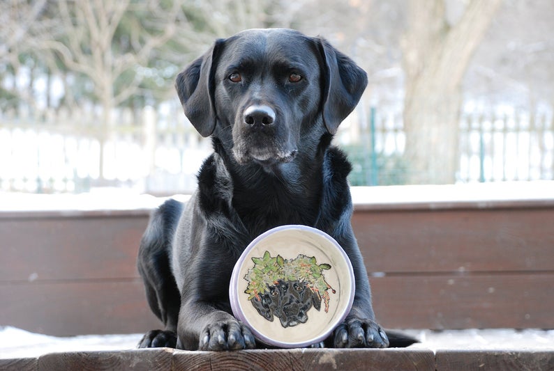 Personalized Pet Portrait Bowl