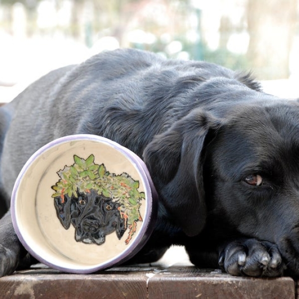 Personalized Pet Portrait Bowl