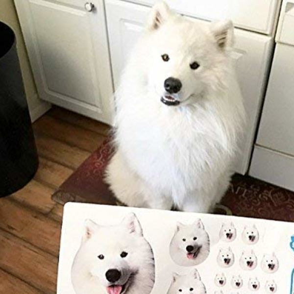 Personalized Stickers Of Your Dog/Cat