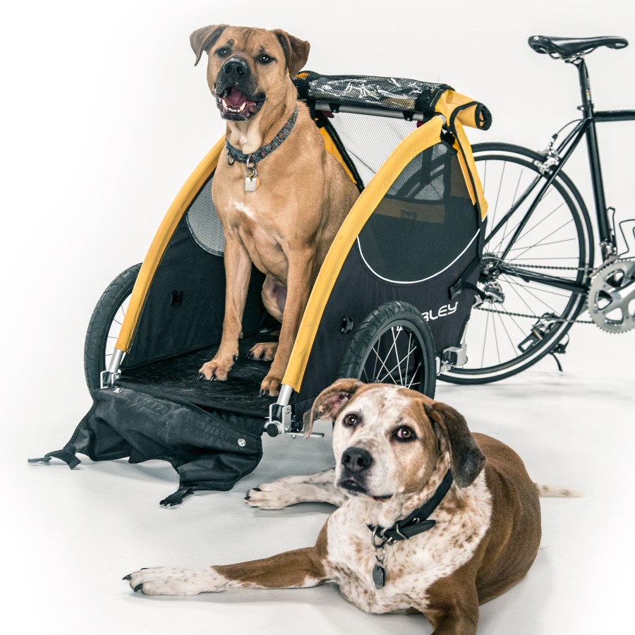 Pet Bike Trailer Stroller