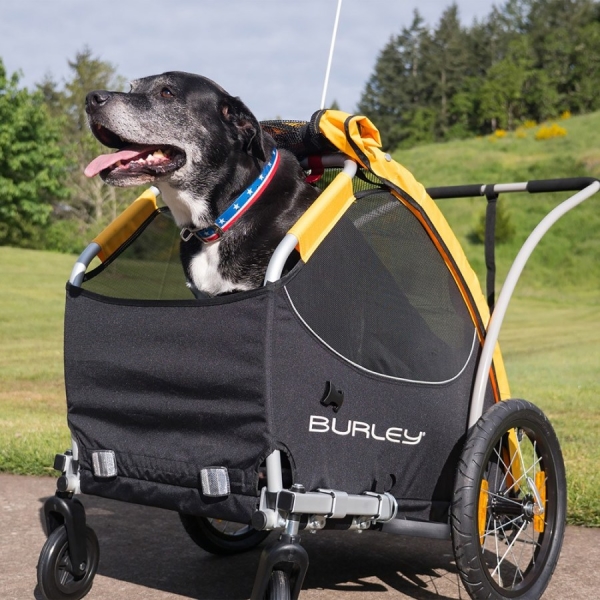 Pet Bike Trailer Stroller