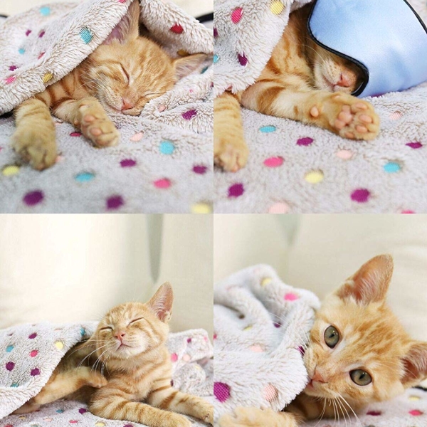 Pet Blanket