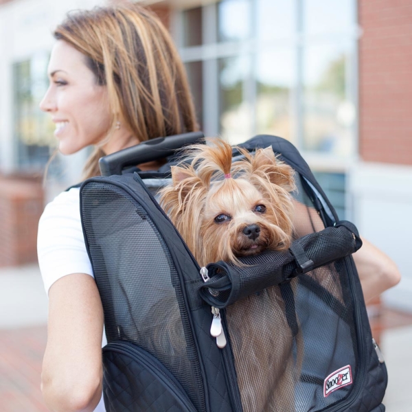 Pet Carrier